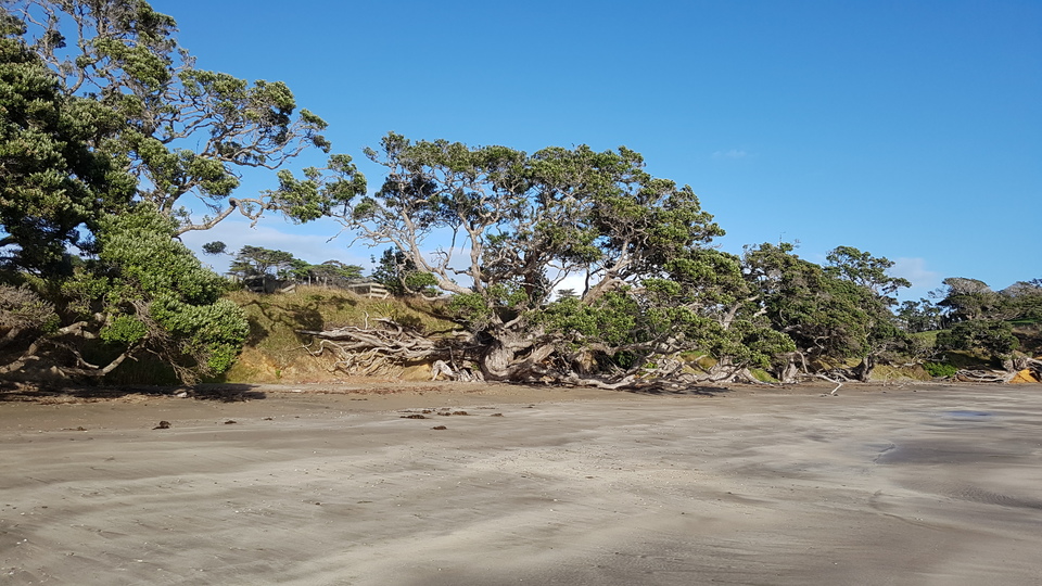 Sandy Beach at Peter Snell Youth Village