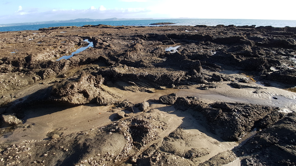 Rocky Shore at Peter Snell Youth Village
