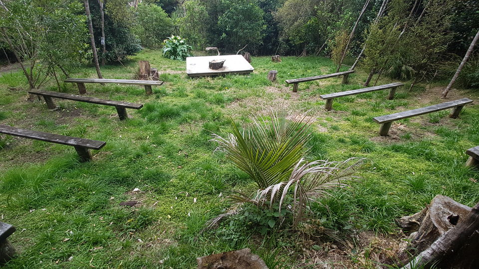The forest glade with bench seating around a platform