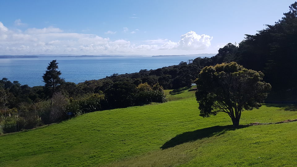Lawn and parkland sloping down towards the Mahurangi water